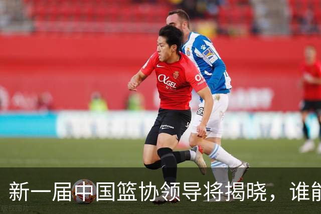 新一届中国篮协领导将揭晓，谁能扭转篮球颓势？
