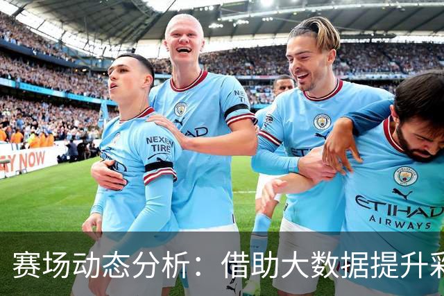 赛场动态分析：借助大数据提升彩票预测精准度